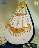 The Petal-Drop Lightweight Paasa