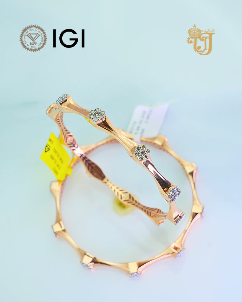 Radiant Spring Blossom Pair Bangle