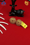 The Shahi Ruby-Drop Studs